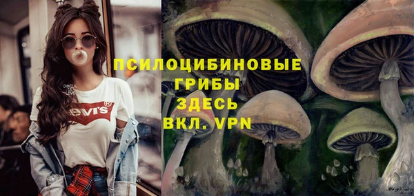 экстази Заводоуковск